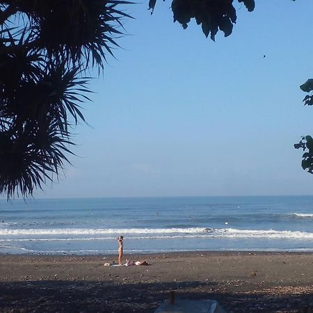 Medewi Good Vibes Stay&Surf Jembrana エクステリア 写真