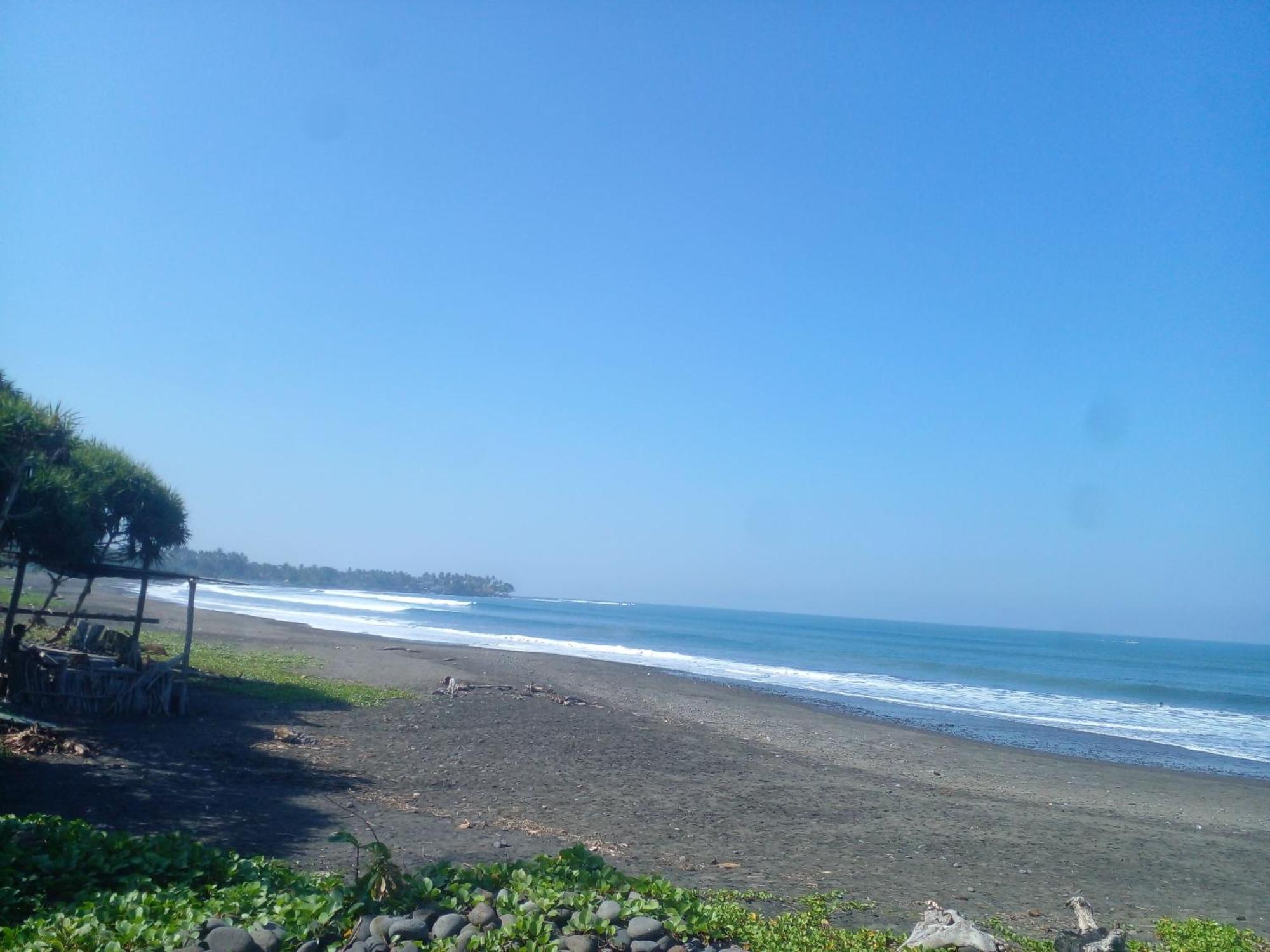 Medewi Good Vibes Stay&Surf Jembrana エクステリア 写真